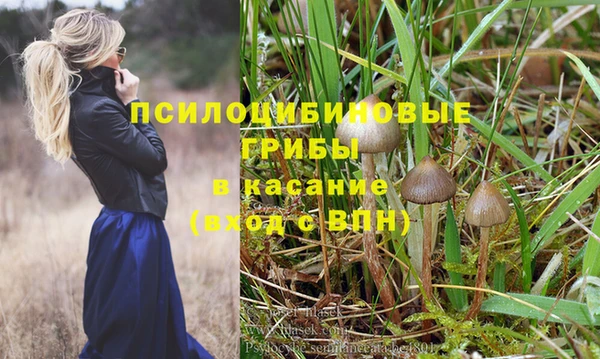 шишки Навашино