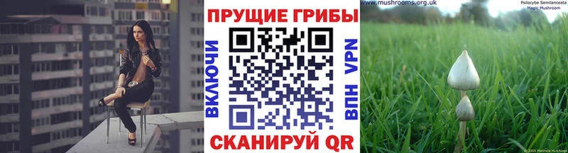 Псилоцибиновые грибы прущие грибы  цена наркотик  Новошахтинск 