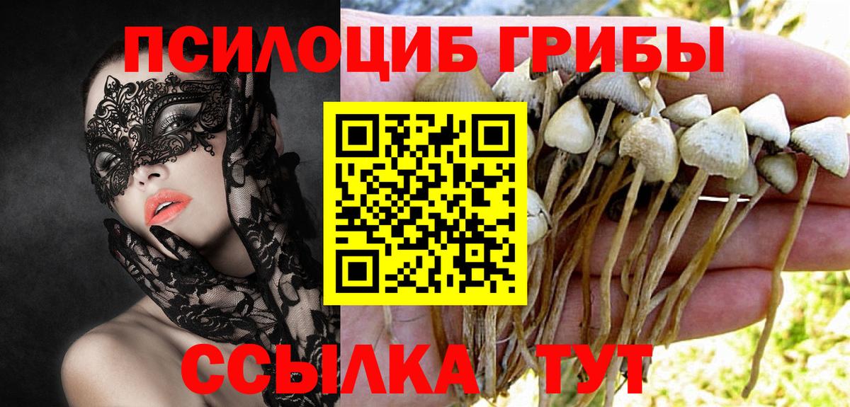наркотики  Новошахтинск  Галлюциногенные грибы прущие грибы  Псилоцибиновые грибы мицелий 