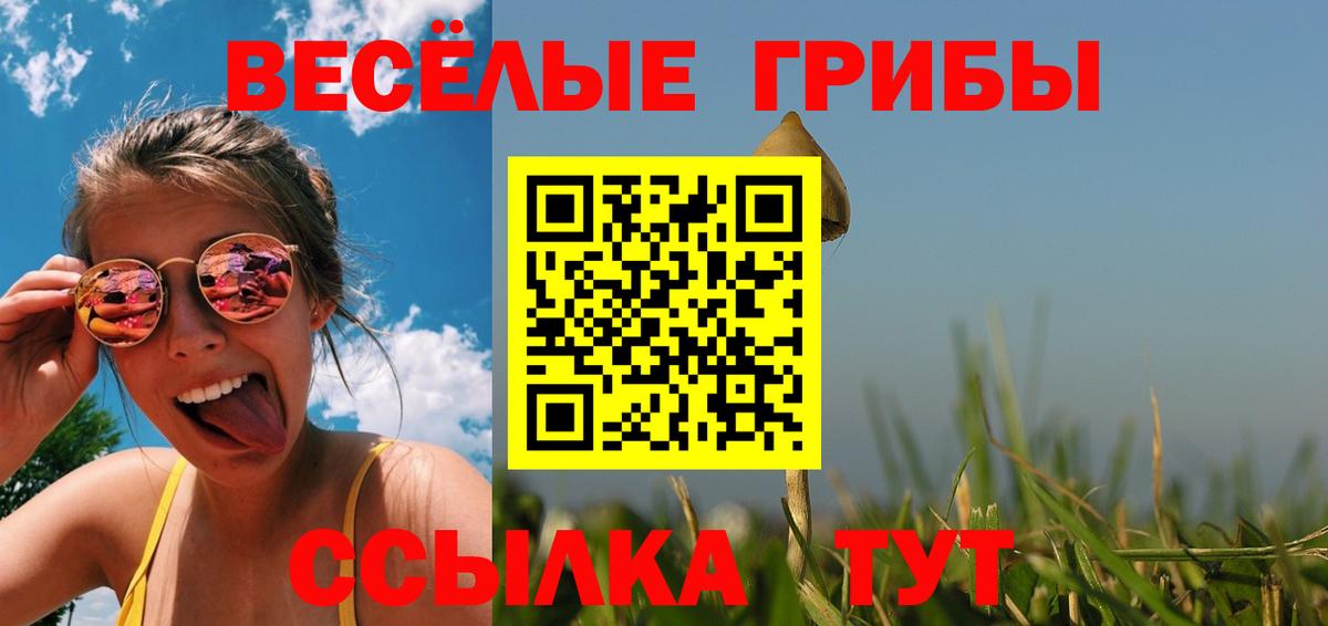 Галлюциногенные грибы MAGIC MUSHROOMS Новошахтинск