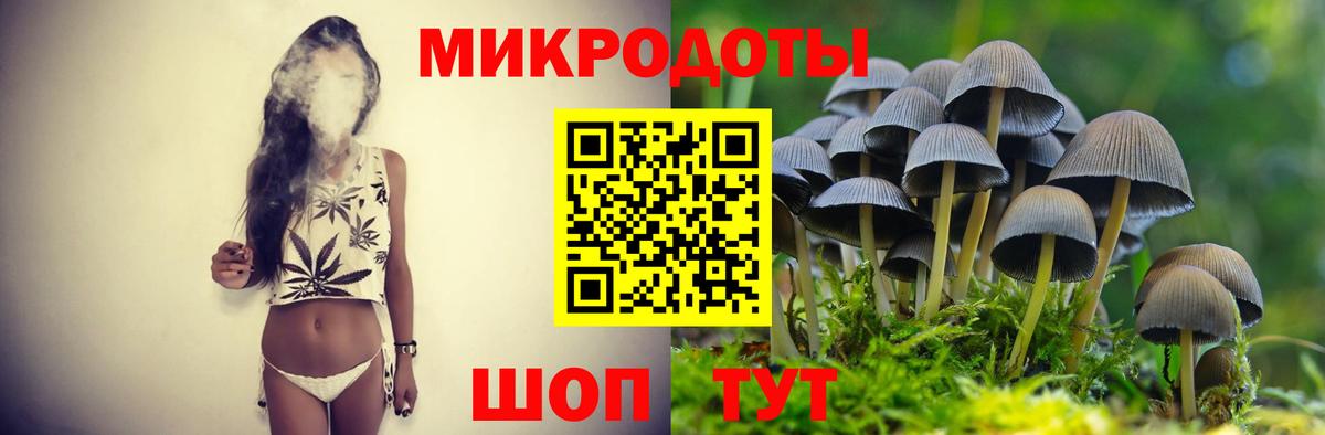 Галлюциногенные грибы мухоморы Новошахтинск