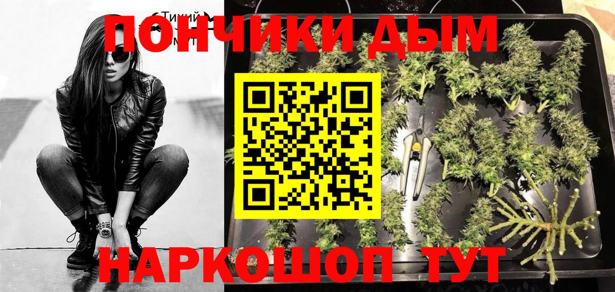 Конопля SATIVA & INDICA Новошахтинск